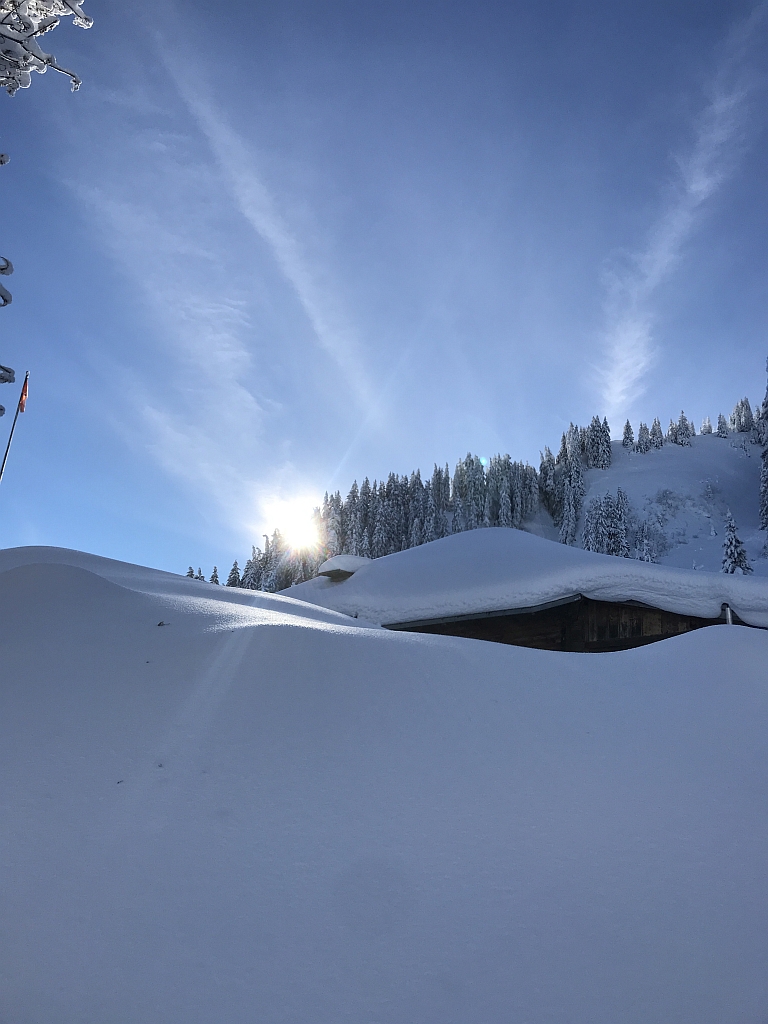 02_16. Jan 21_SAC Schneeschuhtour Schwarzsee (101).jpg